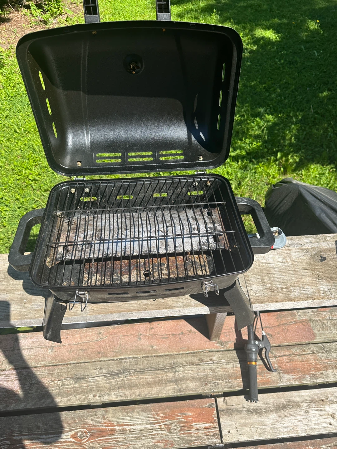 BBQ - photo 3