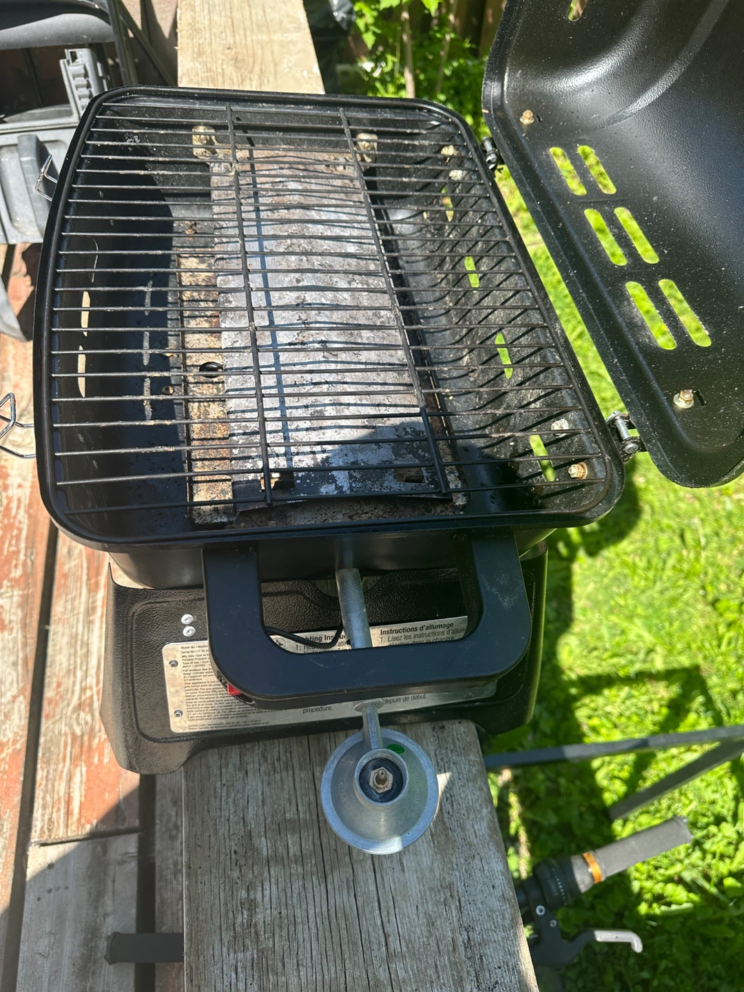 BBQ
