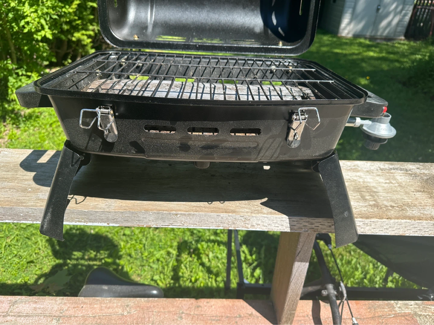 BBQ - photo 4