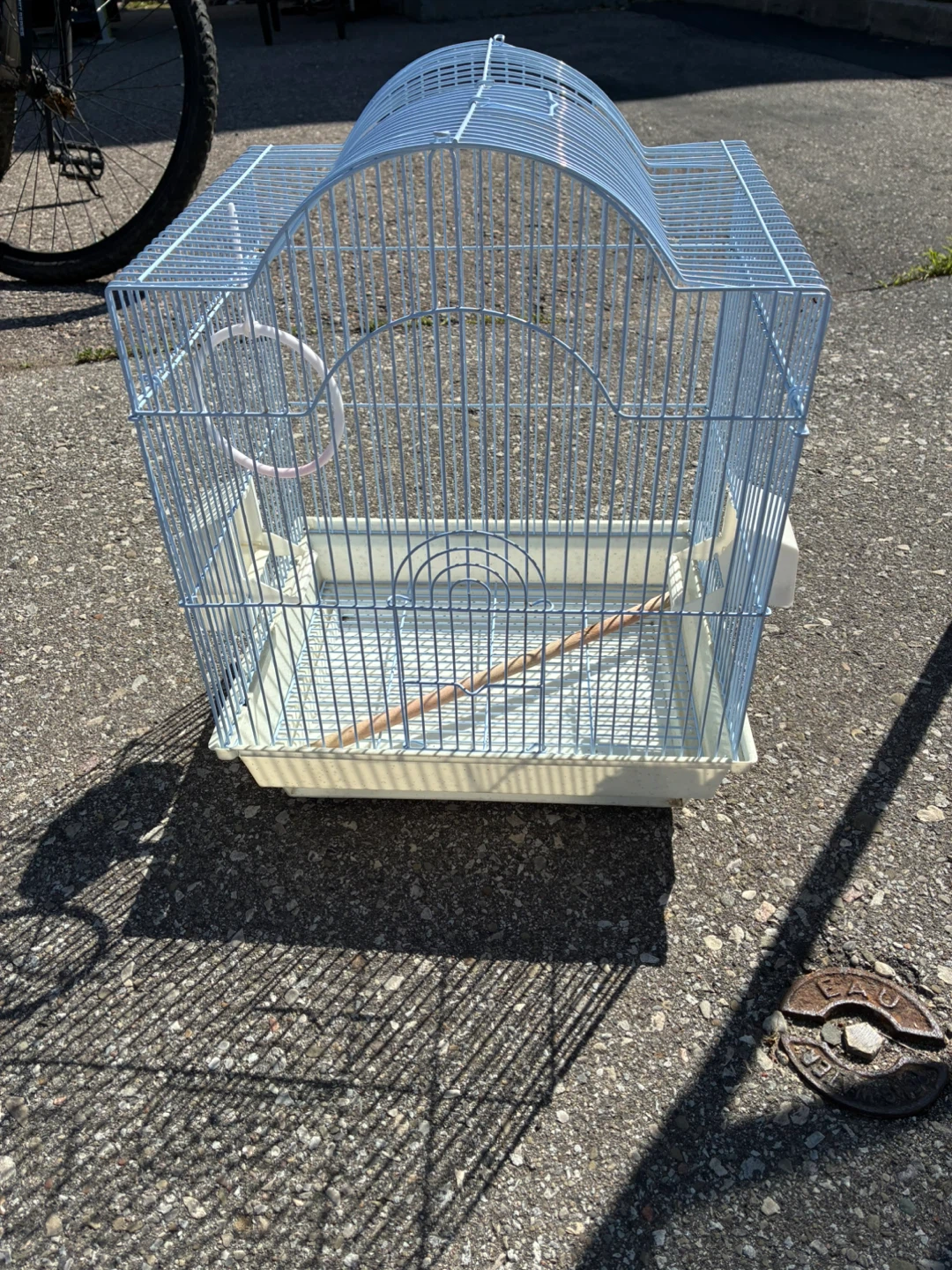 Bird Cage
