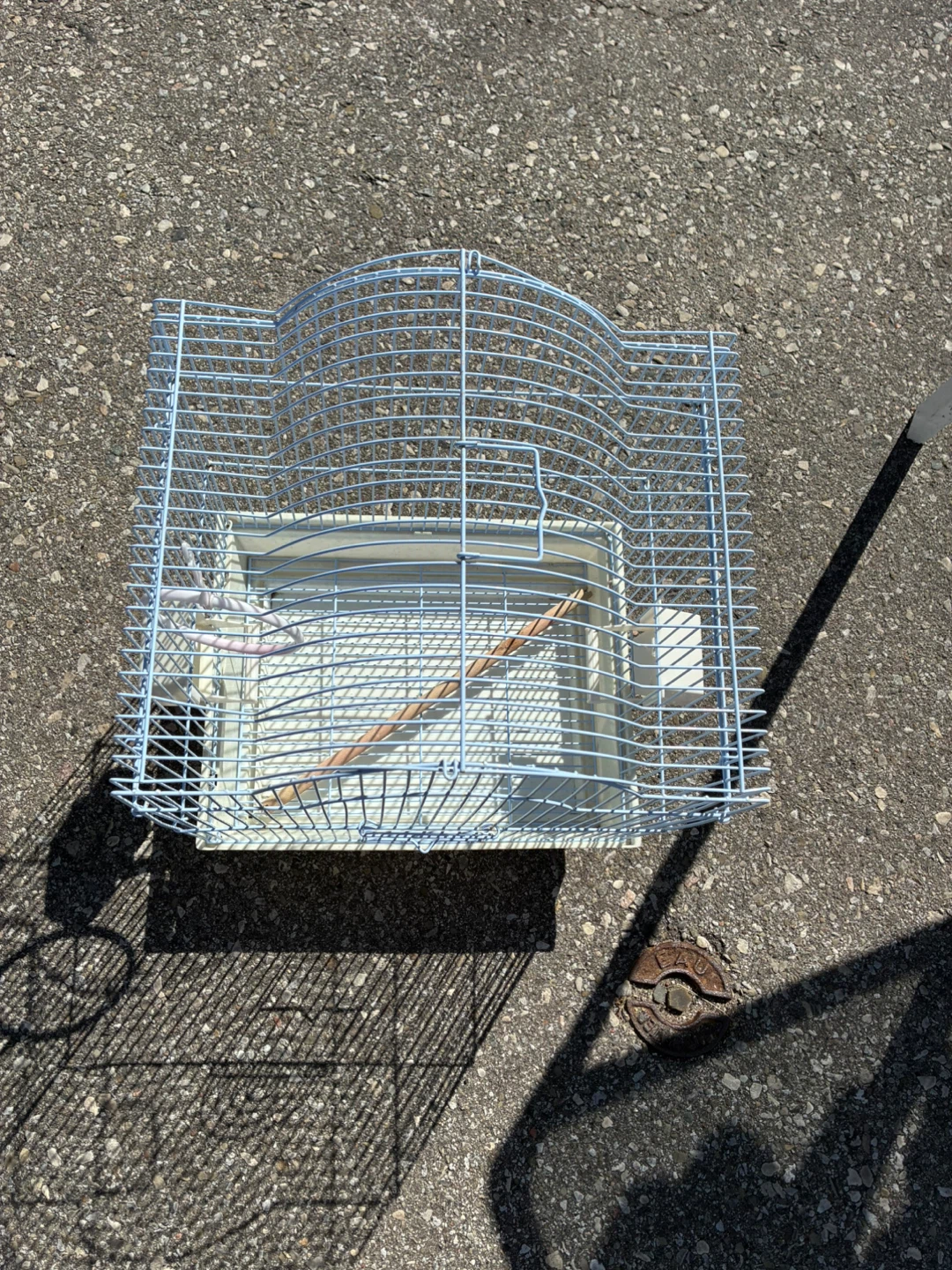 Bird Cage - photo 2