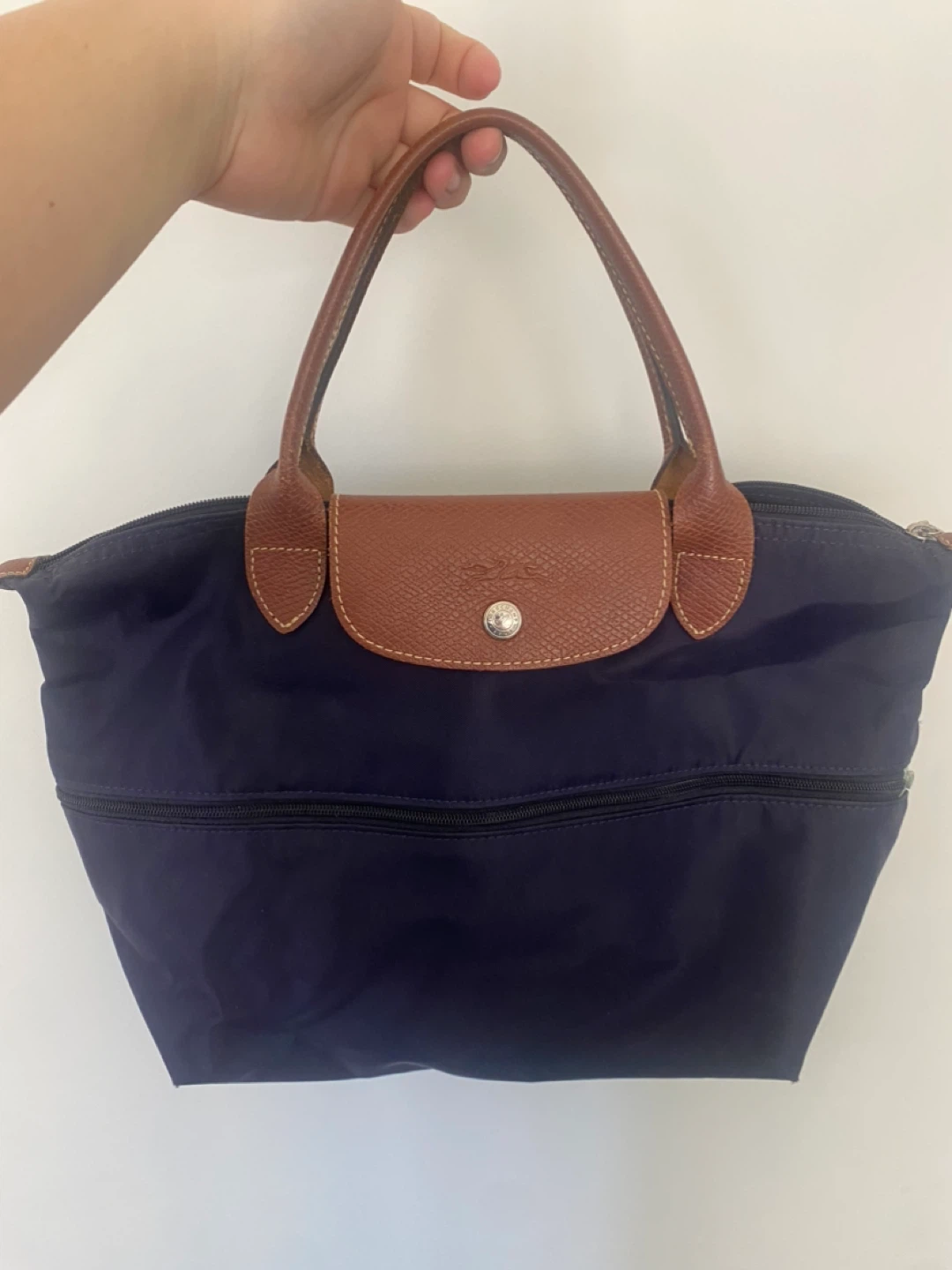 Longchamp Le Pliage Tote Bag