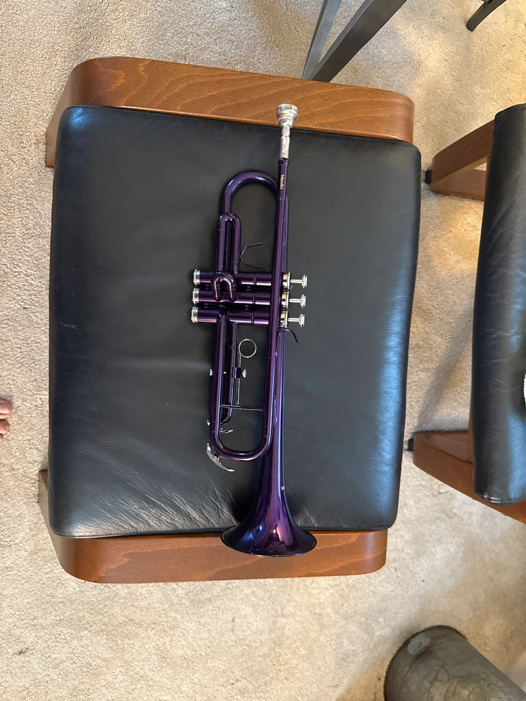 Mendini Purple Trumpet
