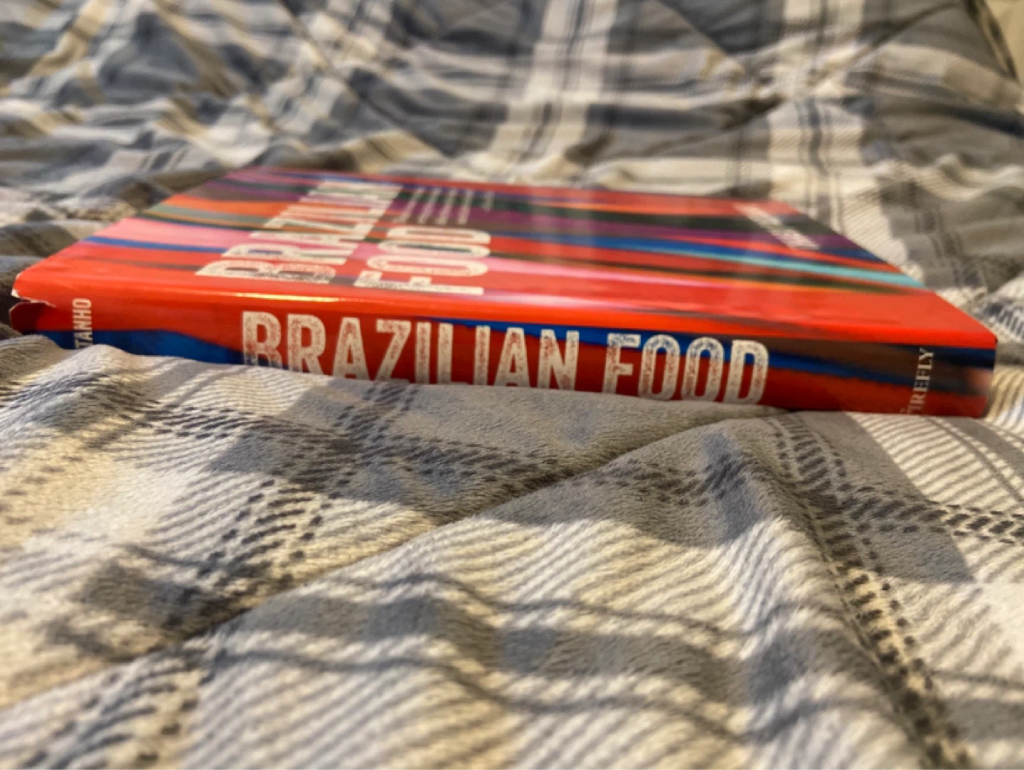 Brazilian Food Cookbook by Thiago Castanho - photo 3