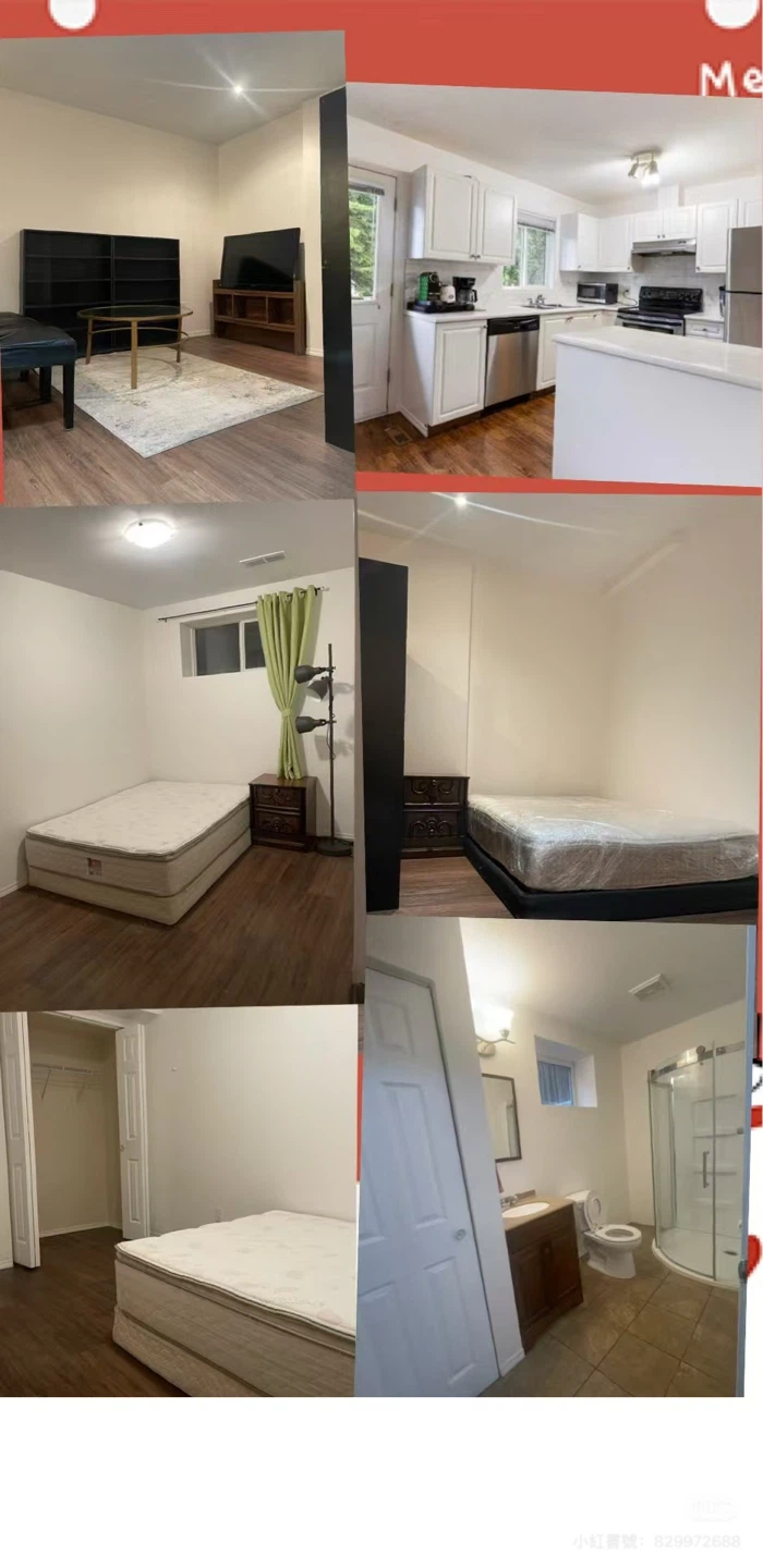 Calgary Citadel Point NW Basement for Rent - photo 2