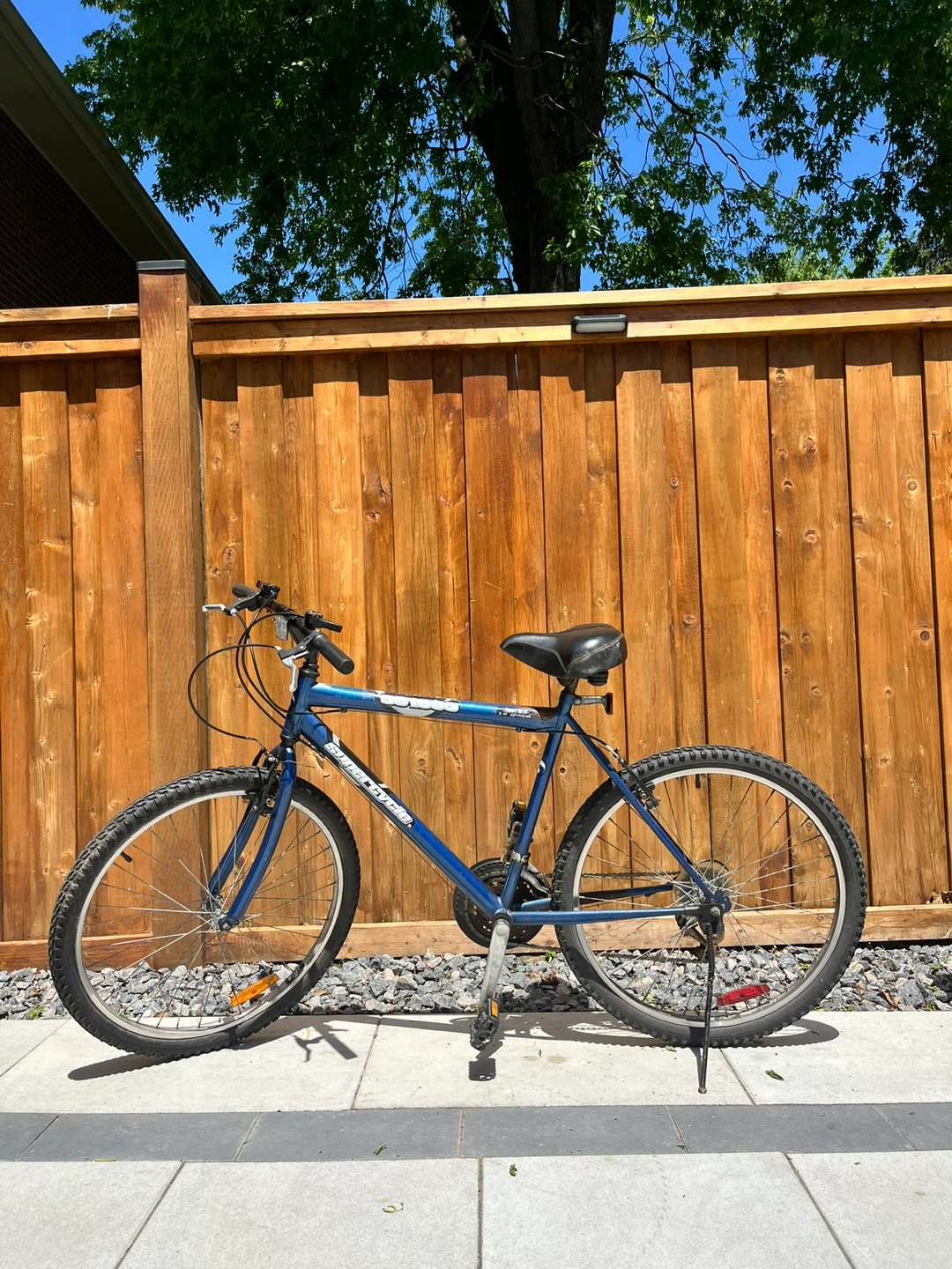 Blue Mountain Bike