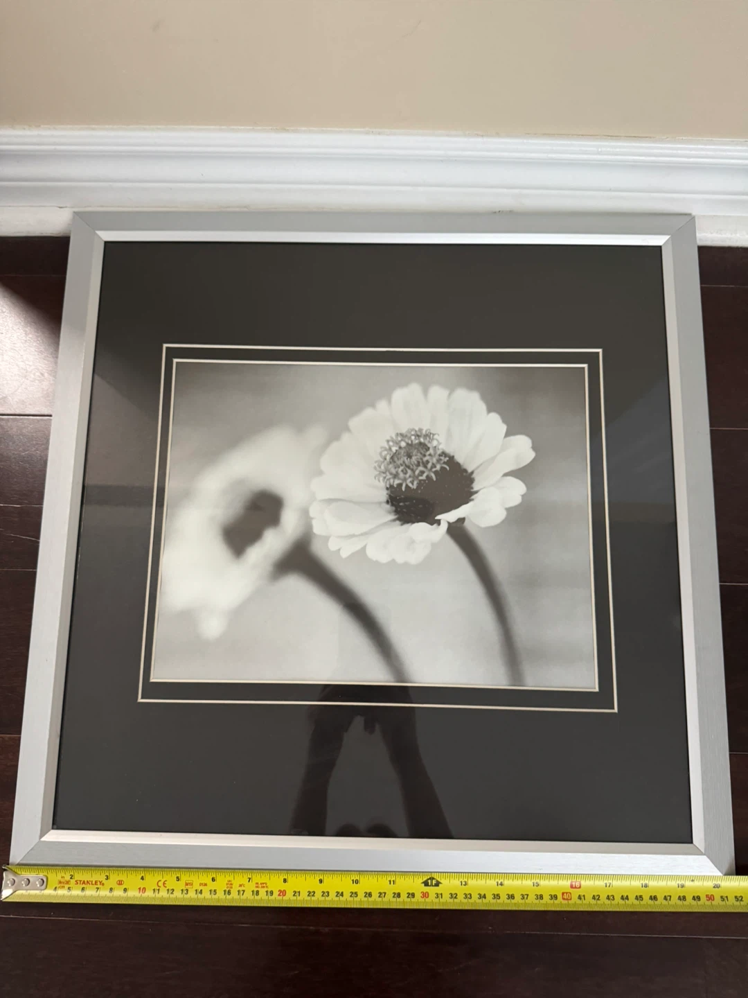 Frames- Silver and Black