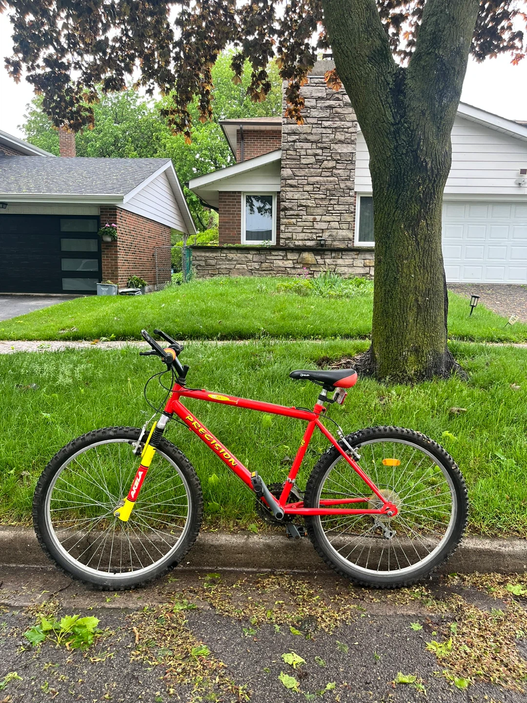 Red Adults Mountain Bike