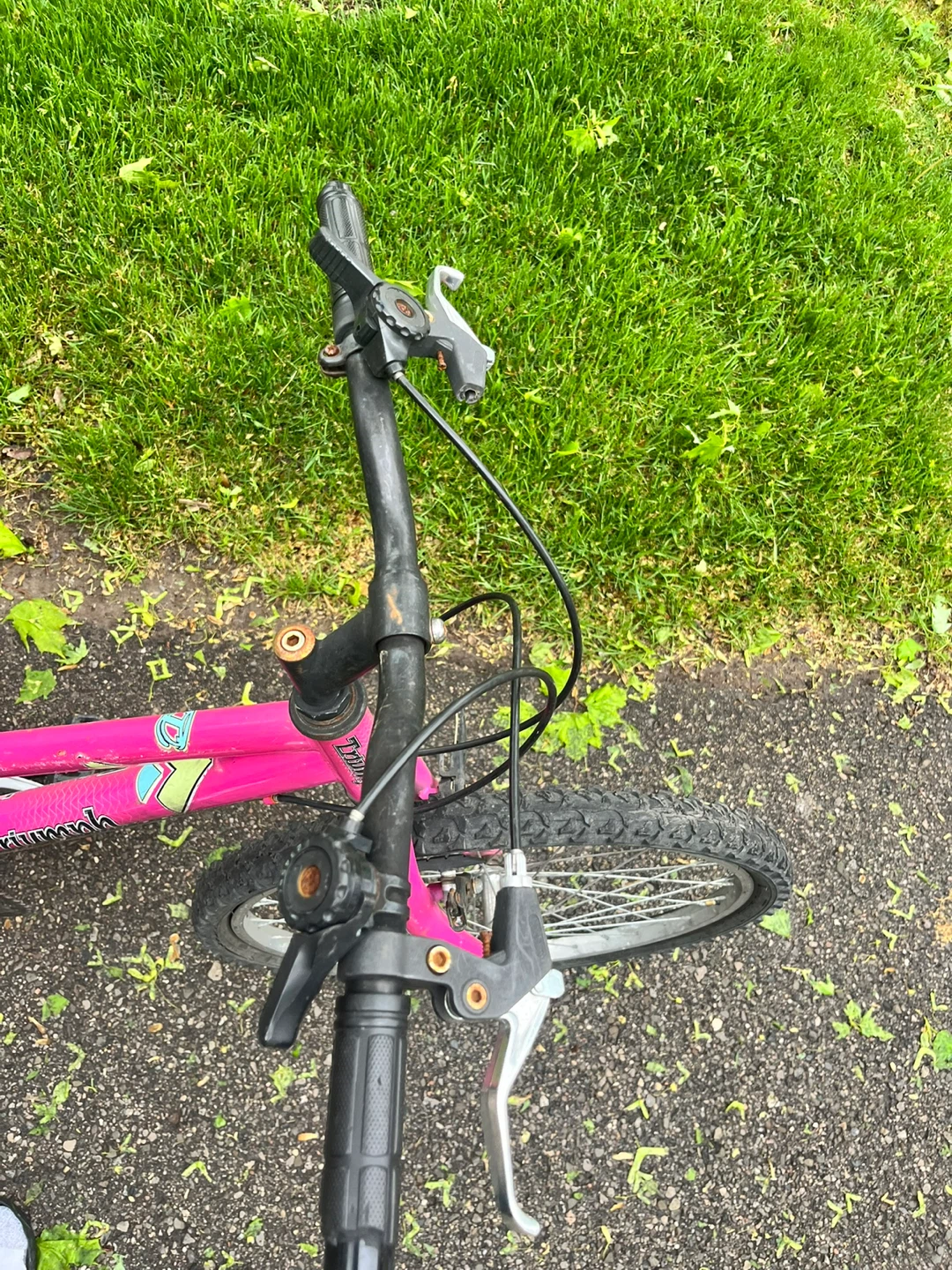 Pink Triumph Challenger Kids Bike(Needs Chain) - photo 3