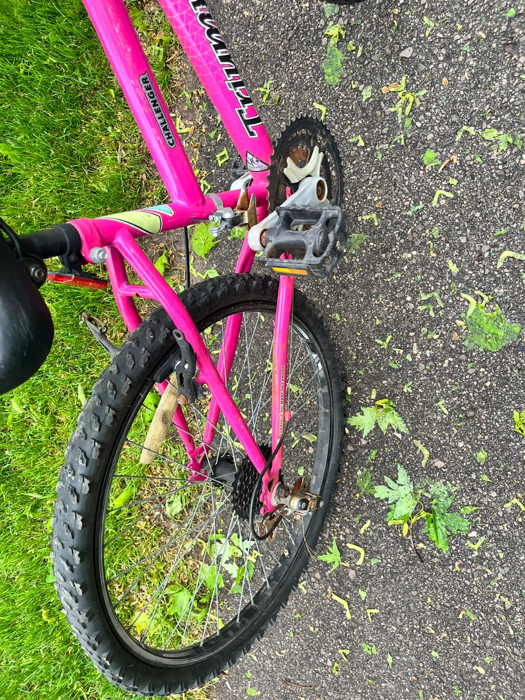 Pink Triumph Challenger Kids Bike(Needs Chain) - photo 2