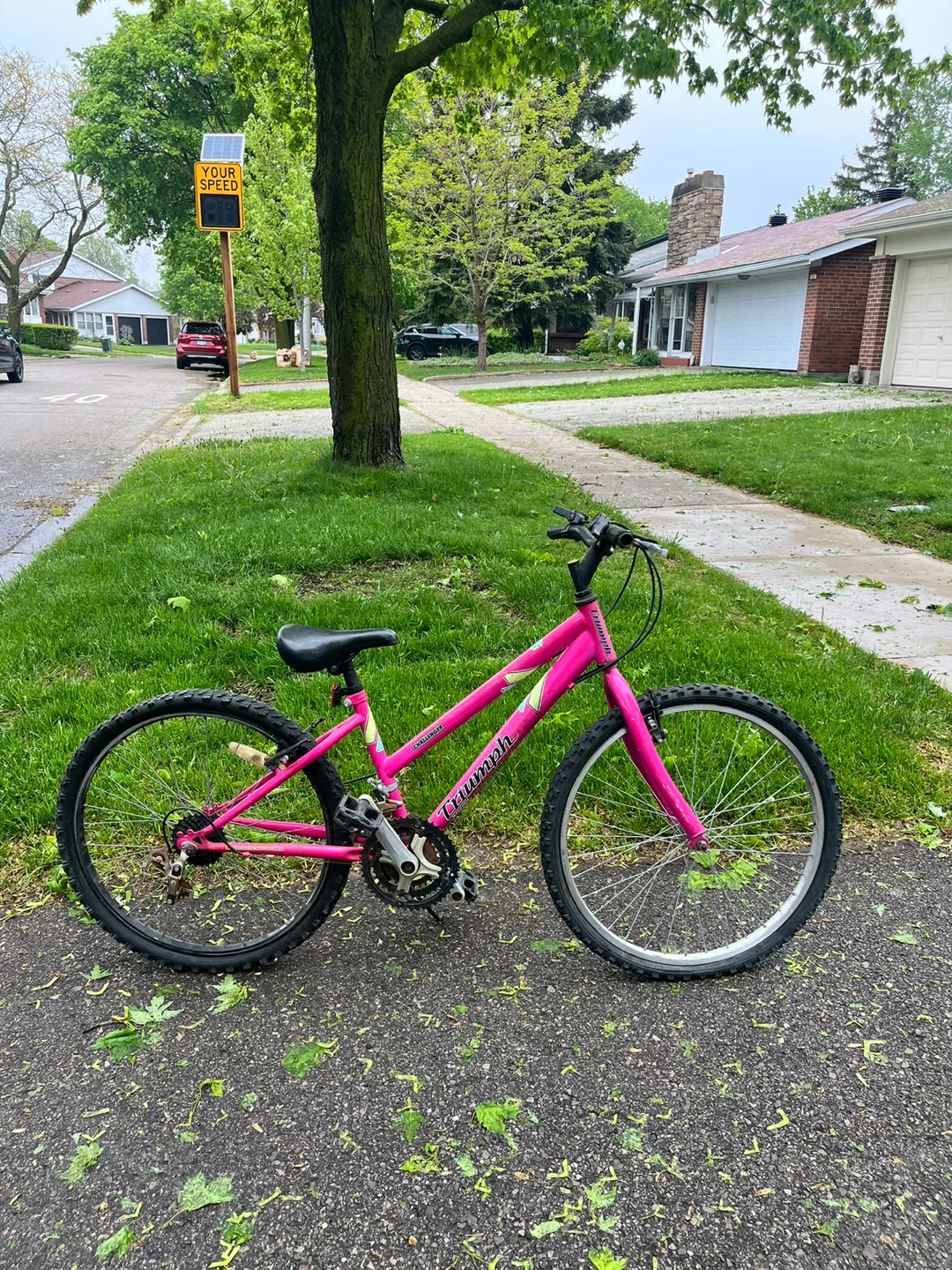 Pink Triumph Challenger Kids Bike(Needs Chain)