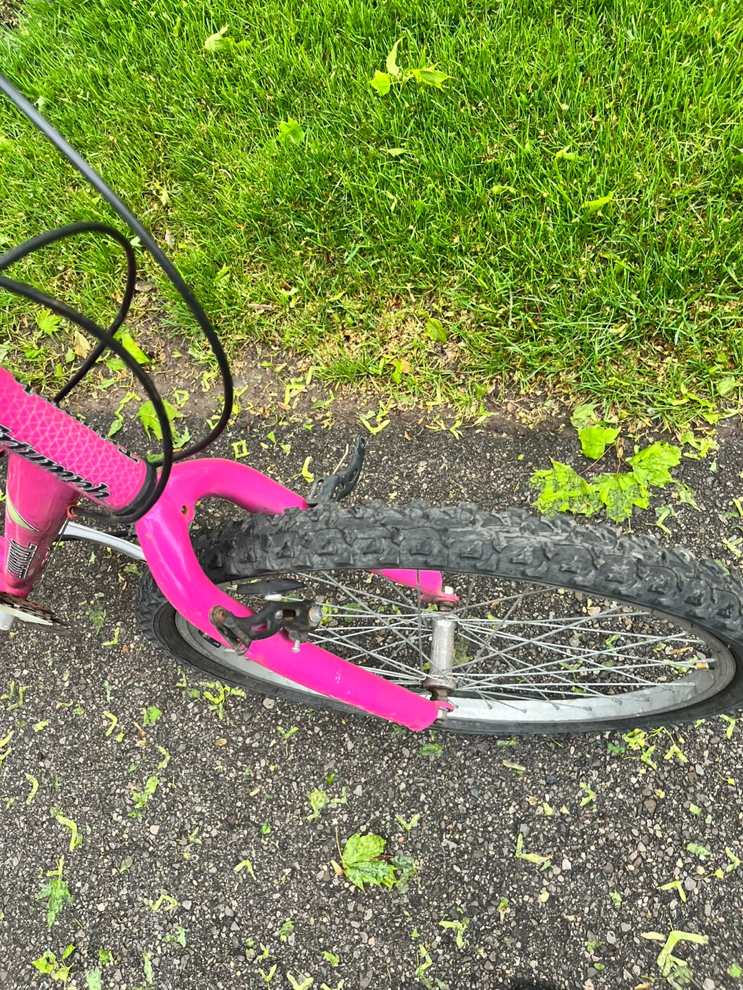 Pink Triumph Challenger Kids Bike(Needs Chain) - photo 4