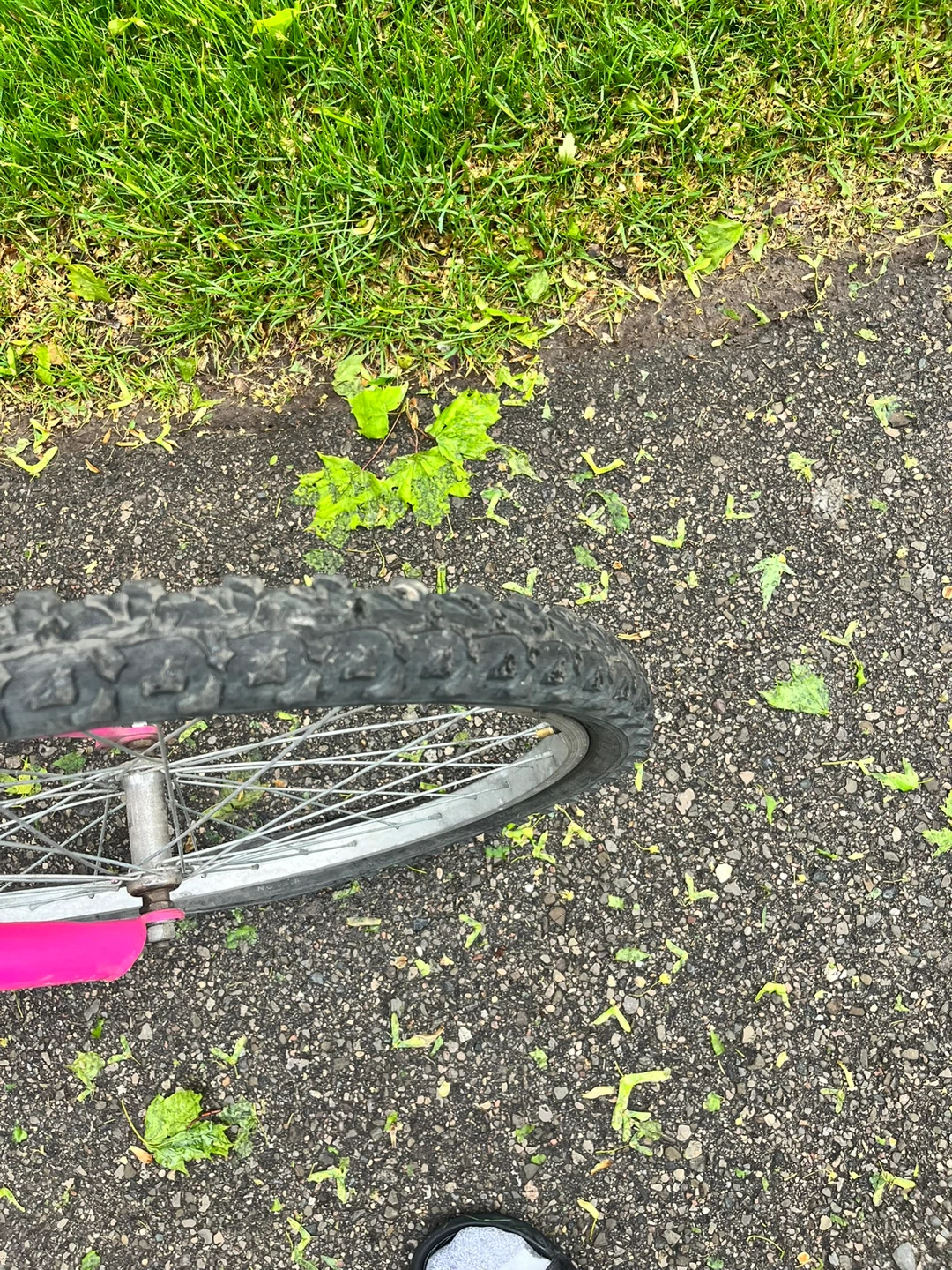 Pink Triumph Challenger Kids Bike(Needs Chain) - photo 5
