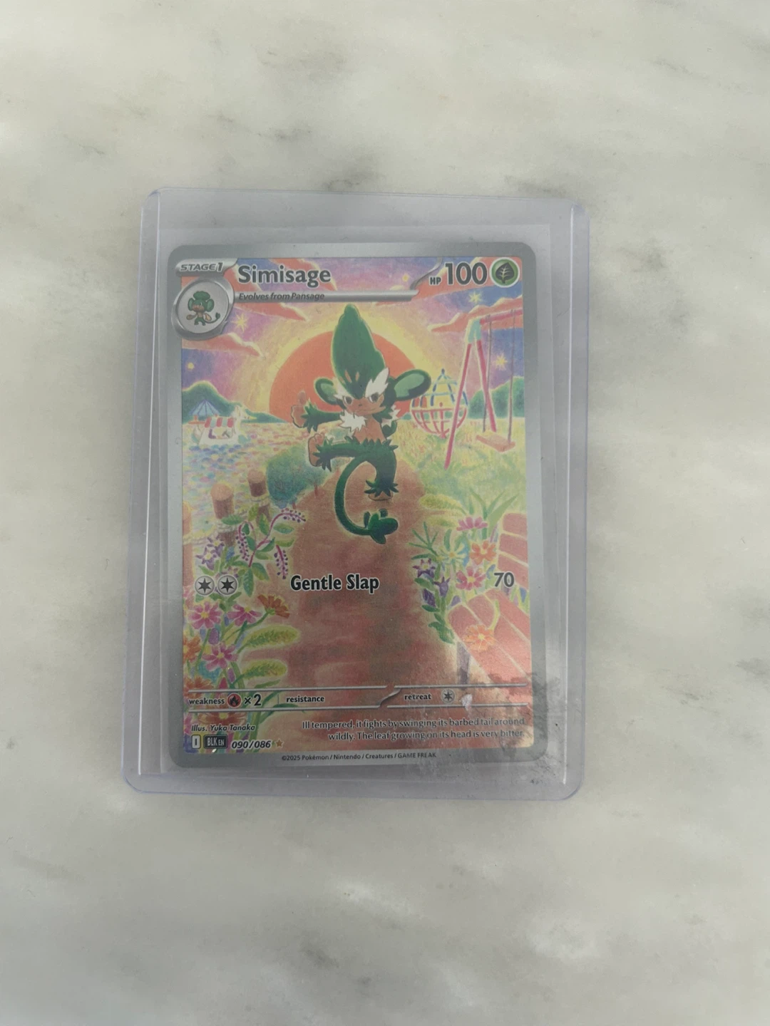 Pokemon - Simisage IR
