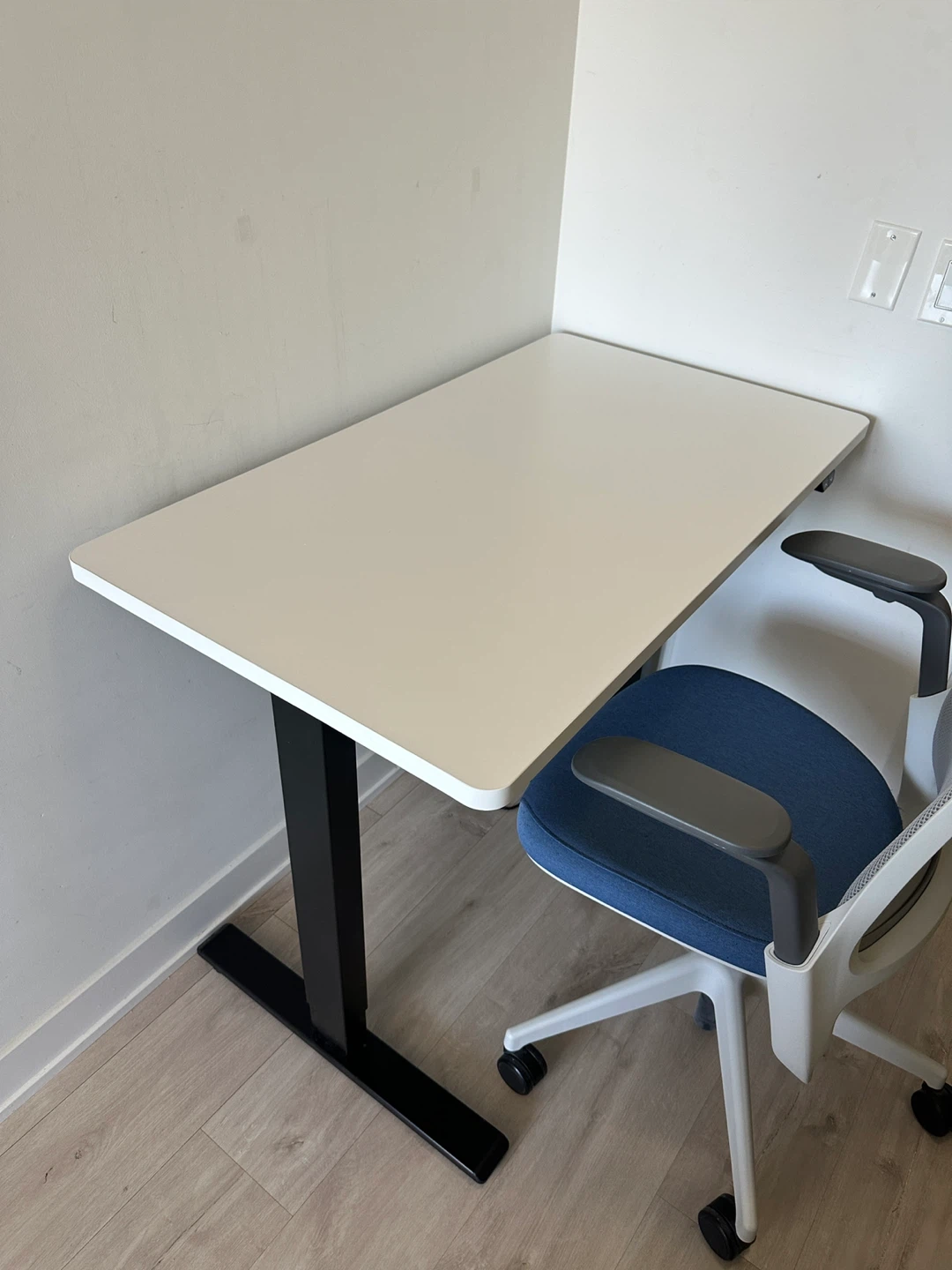 FlexiSpot Standing Desk + Steelcase Series 1 Office Chair