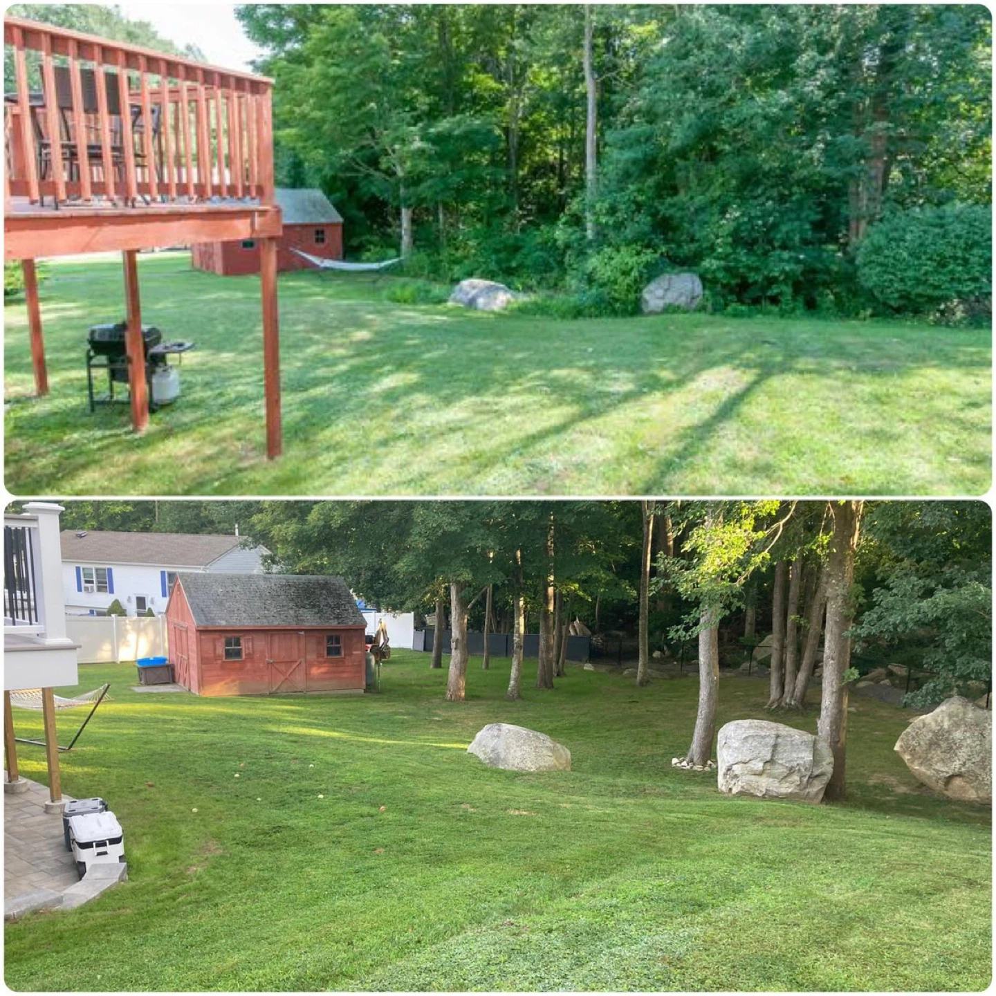 Lawn Maintenance & Property Cleanup Services