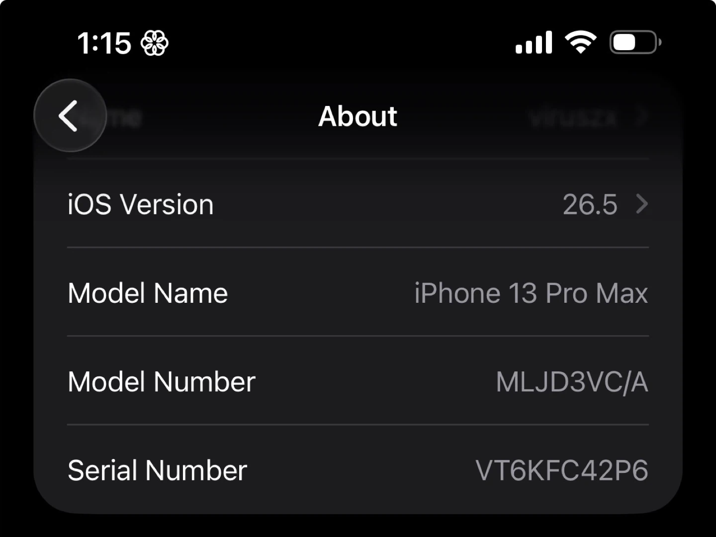 Apple iPhone 13 Pro Max - photo 4