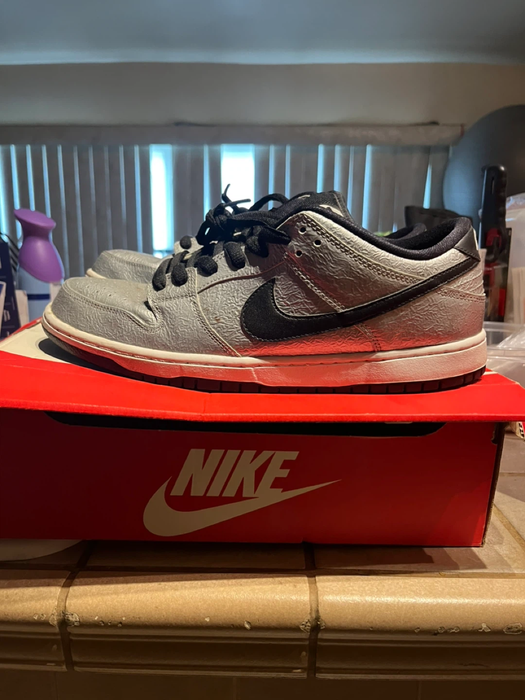 Nike SB Dunk Low Pro Silver Mens Skate Shoes