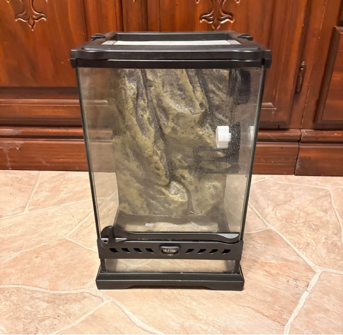 Exo Terra Terrarium 8” × 8” × 12”