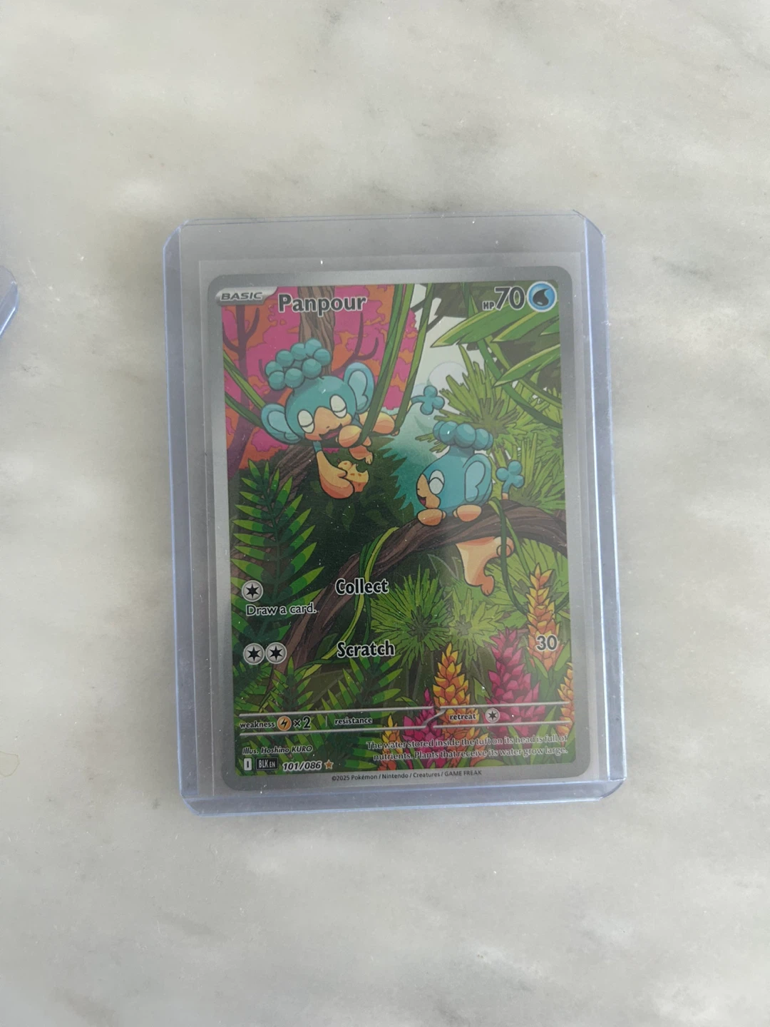 Pokemon - Panpour IR