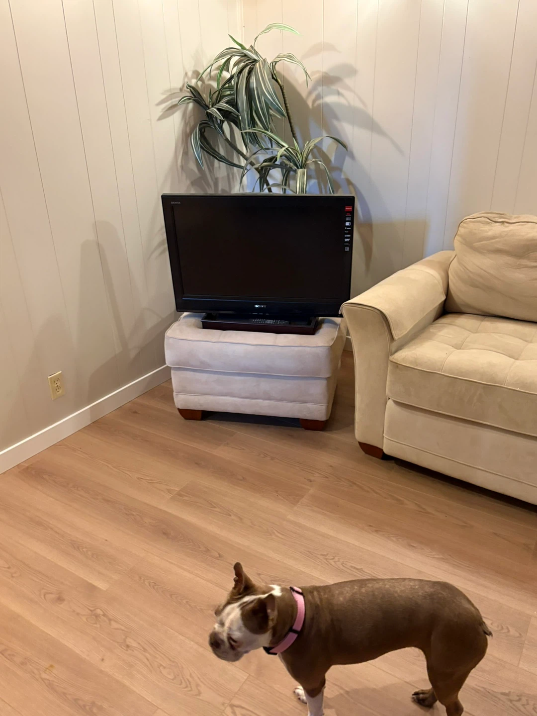 Lazy Boy Couch, Love Seat and Ottoman - photo 2