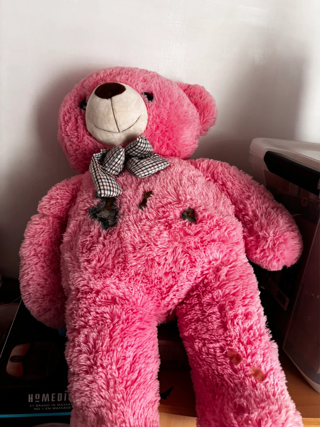 Pink Teddy Bear - photo 2