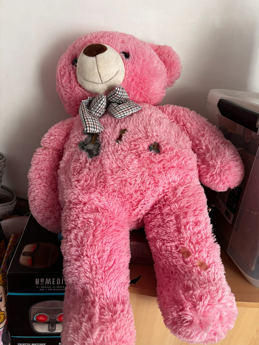 Pink Teddy Bear