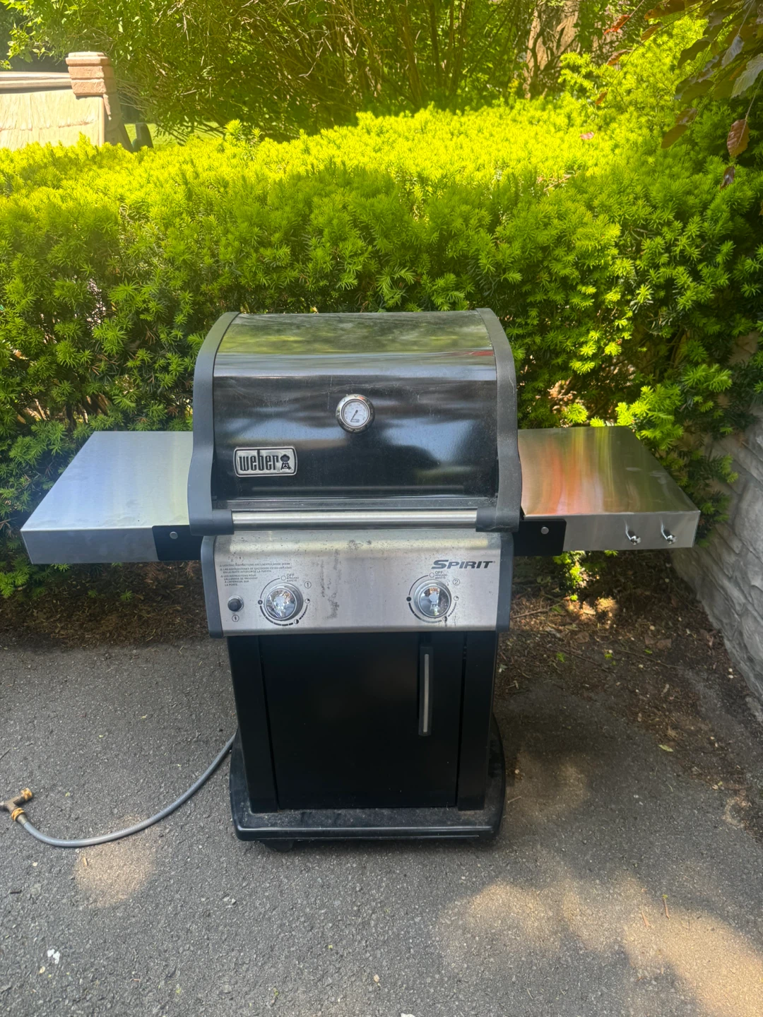 Weber Spirit Bbq