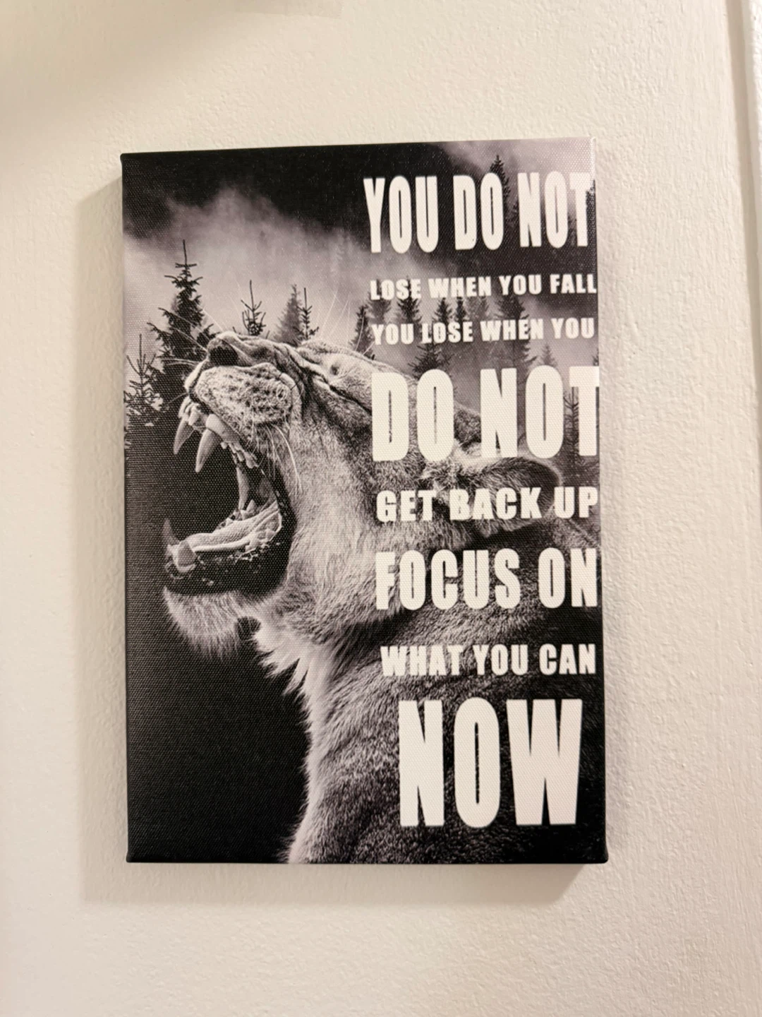 Inspirational Lion Canvas Wall Art - photo 2