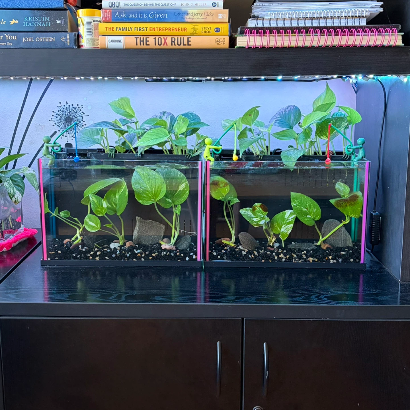 2 Aquarium / Fish Tank
