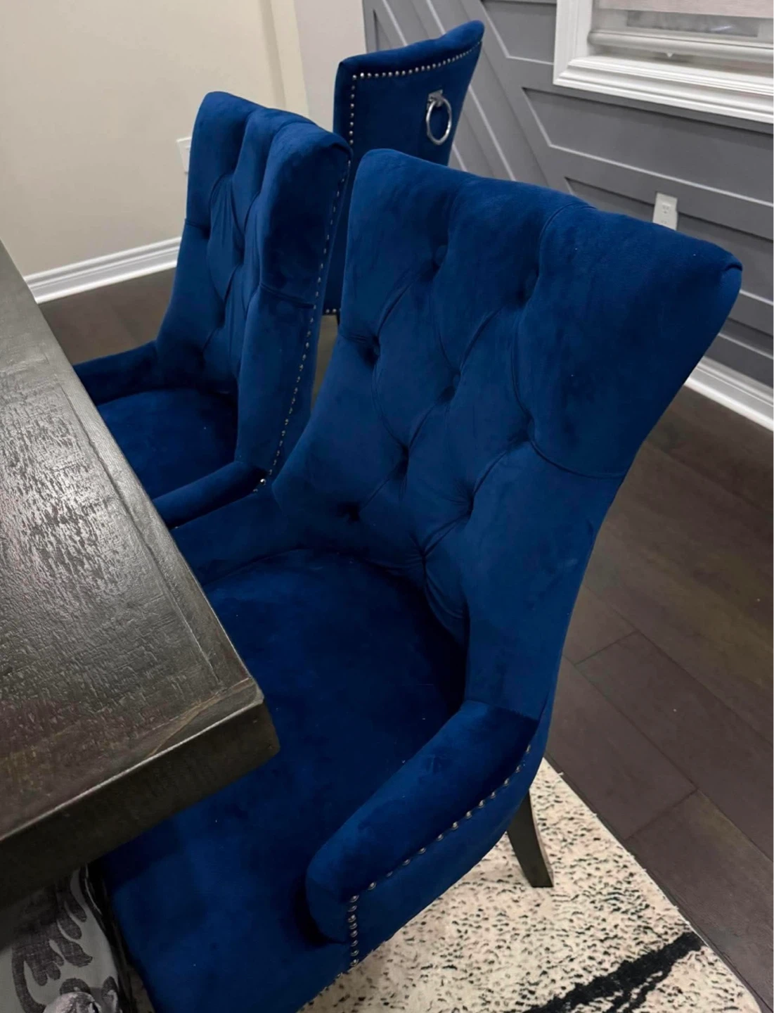 Blue Velvet Dining Chairs with Silver Ring Accent - photo 3