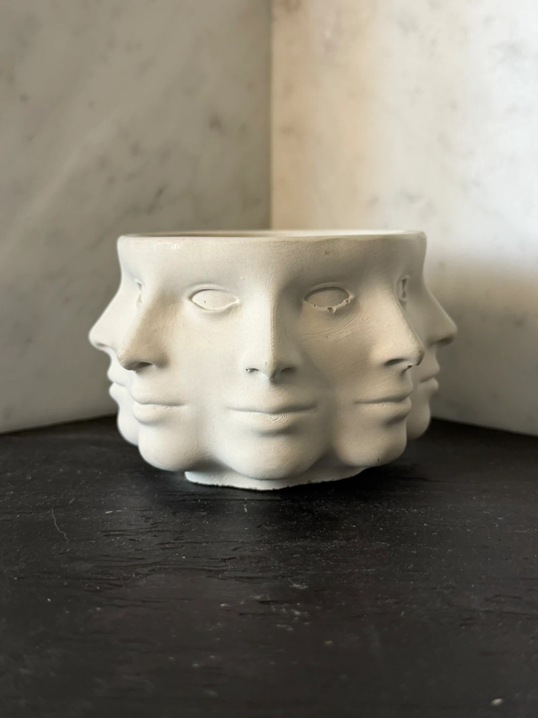 Multi-Face Planter Pot