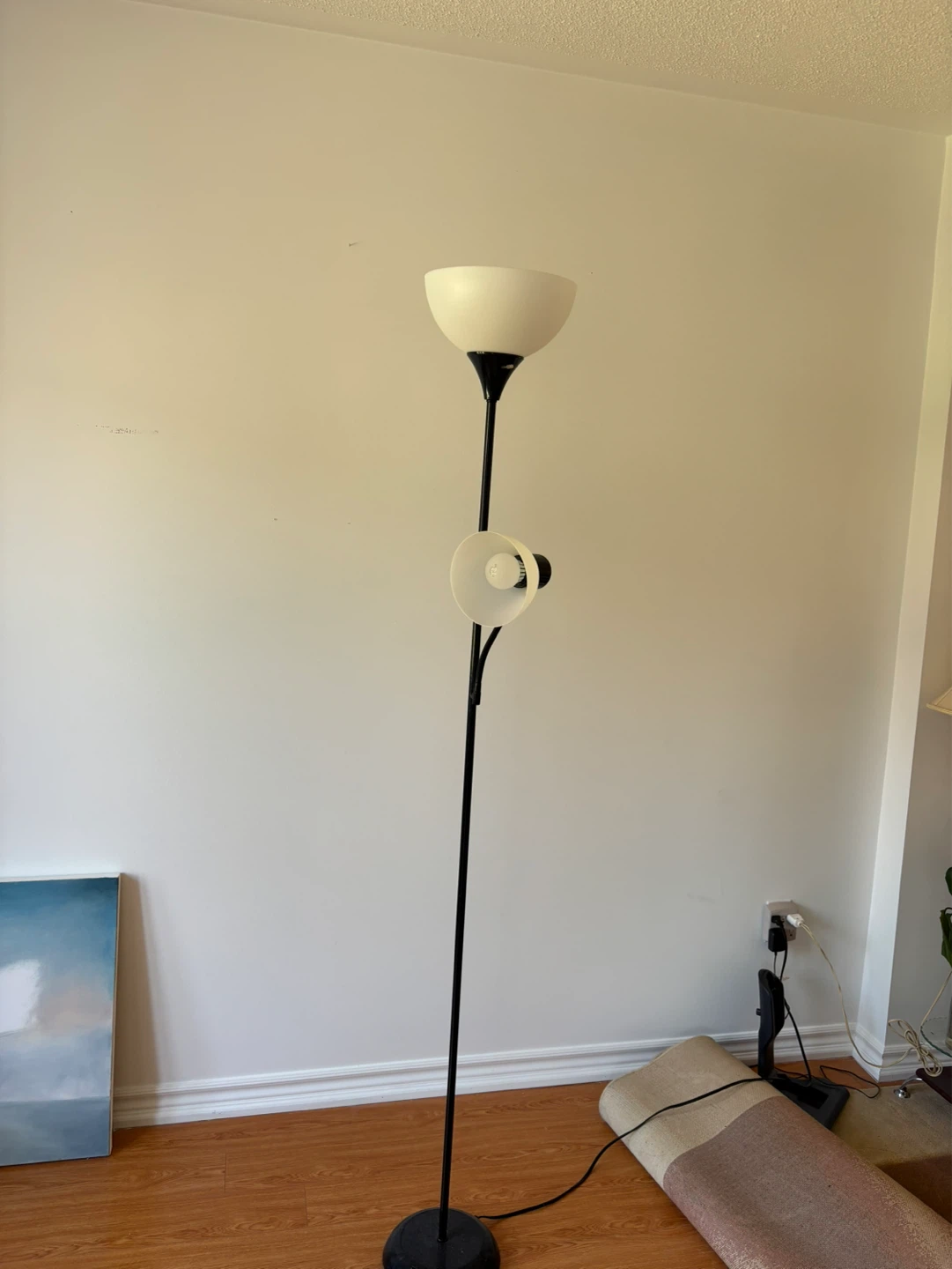 Black Floor Lamp with Reading Light