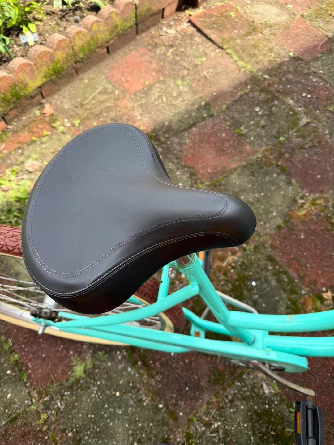 Aqua Cruiser Bicycle - photo 4