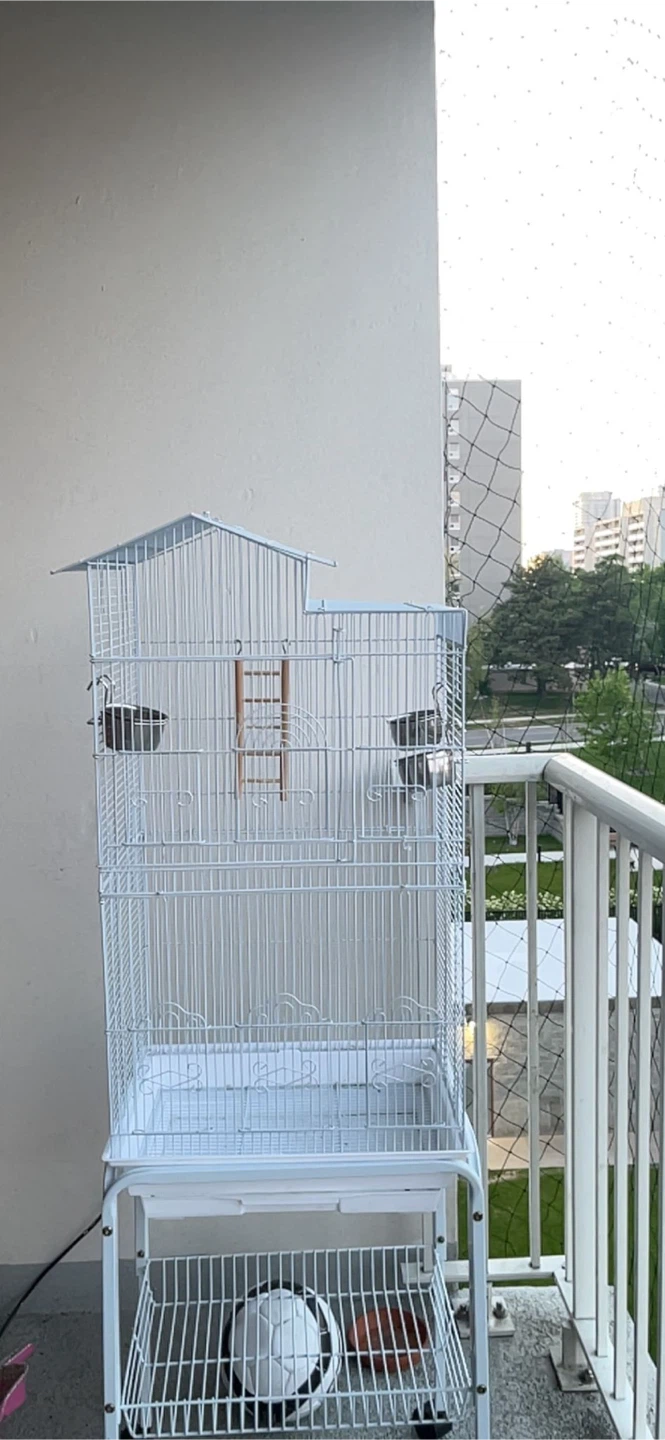 Large Bird Cage - Conures, Budgies, Finches