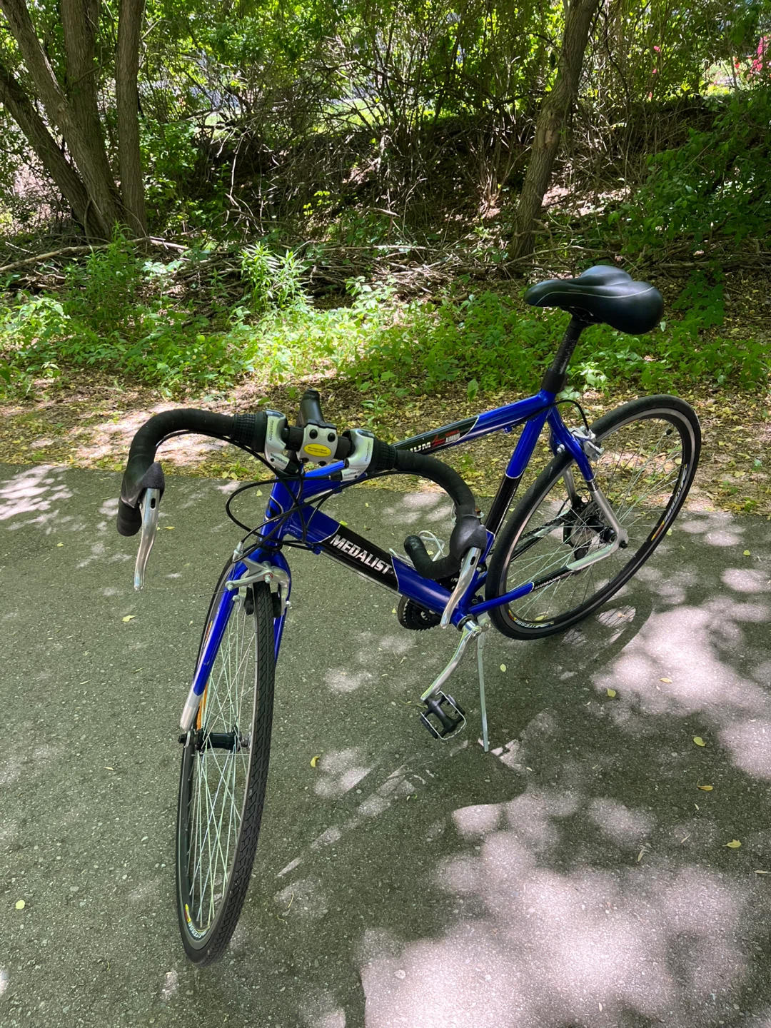 Blue Medalist Aluminum Road Bike