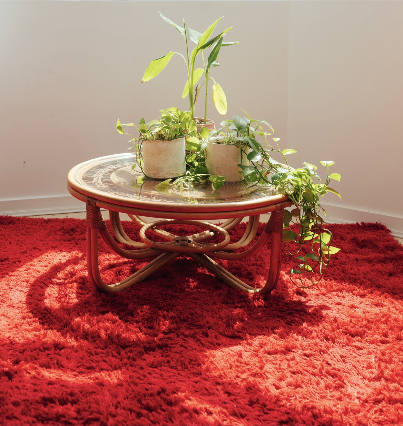 1970s Rattan & Cane Glass-Top Coffee Table