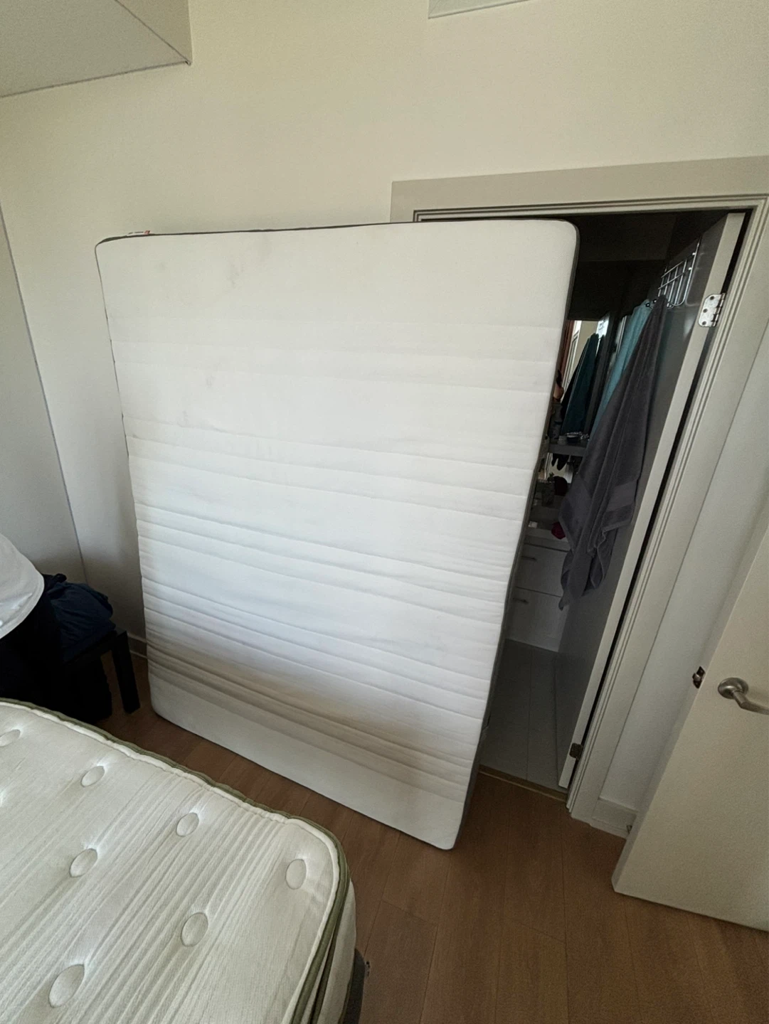 IKEA Morgedal Queen Mattress