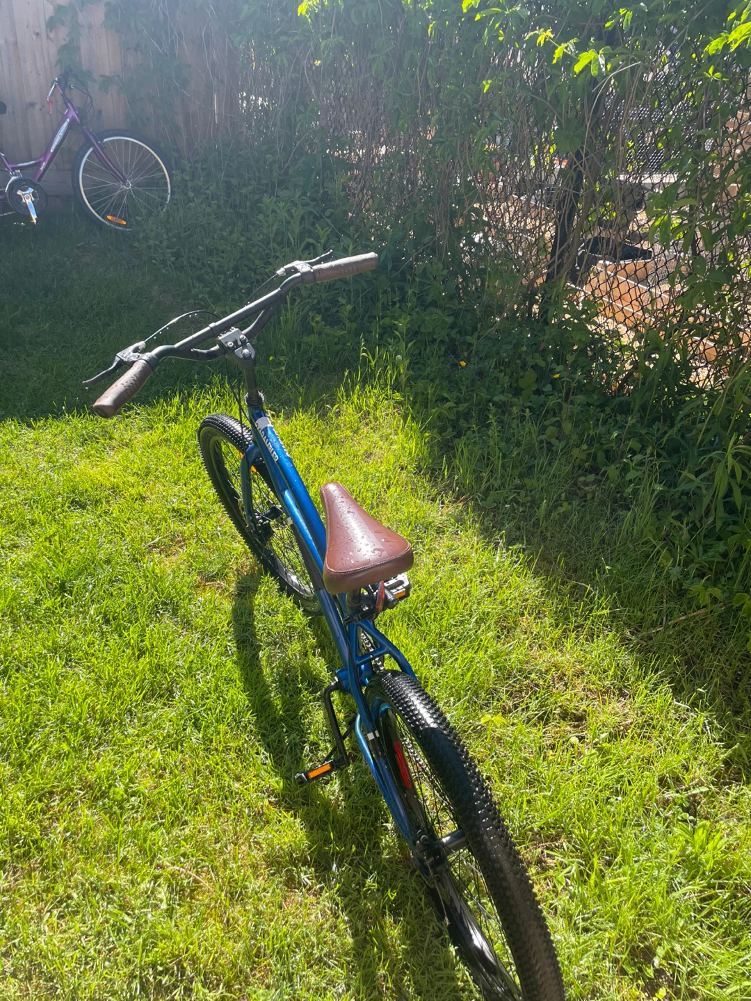 Blue Schwinn 24" Rambler Cruiser Bike - photo 5