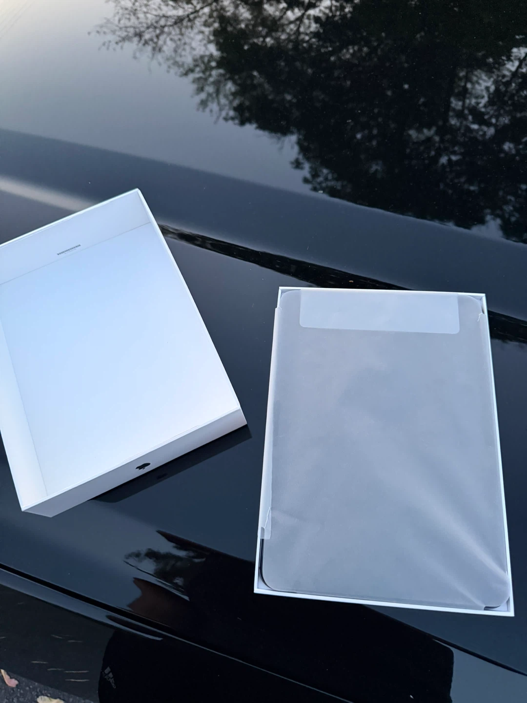 iPad Pro M5 Cellular 11 inch 256 GB - photo 2
