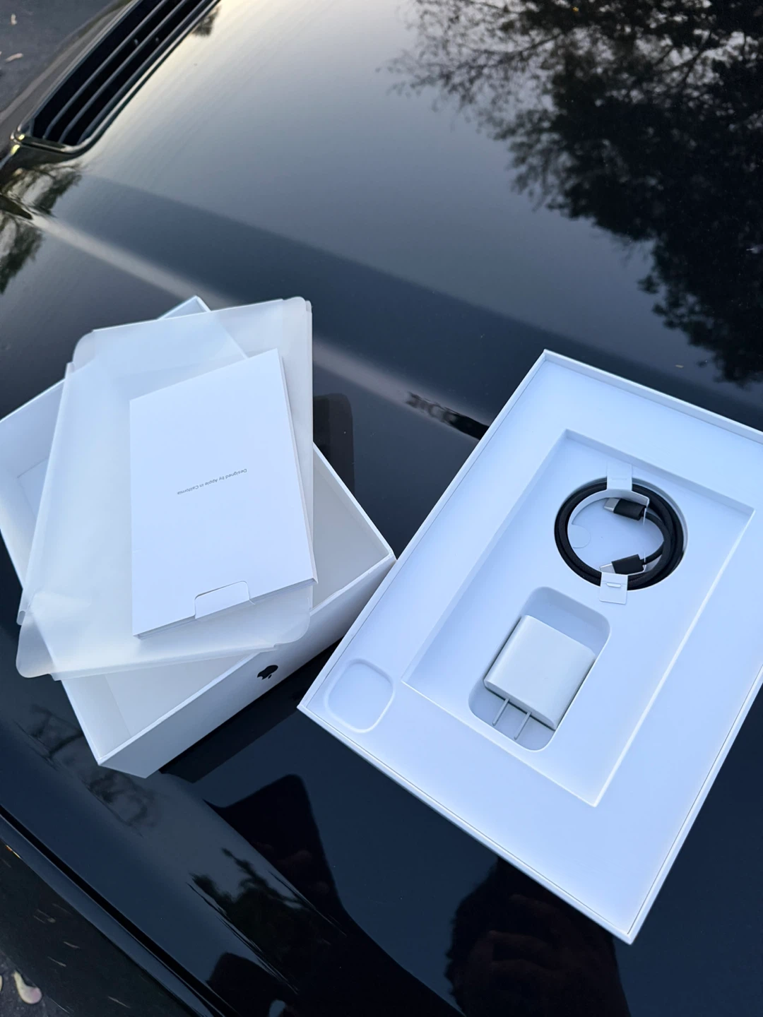 iPad Pro M5 Cellular 11 inch 256 GB - photo 3
