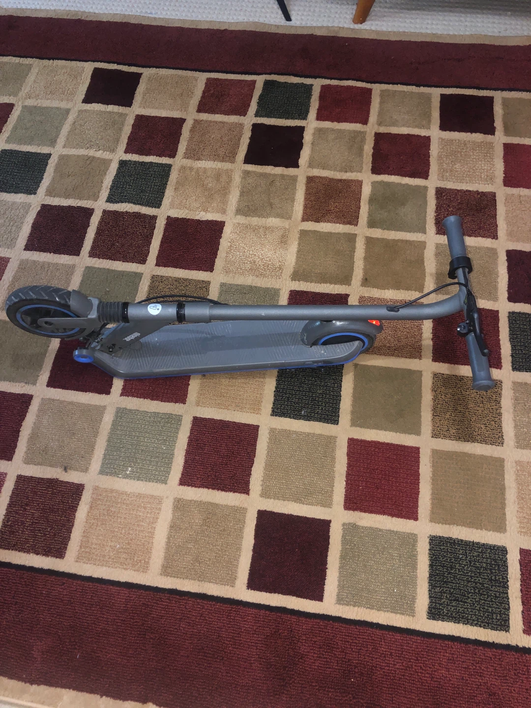 Ninebot Electric Scooter