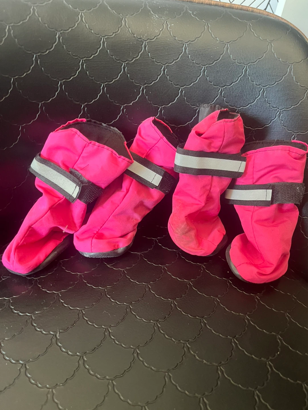 Medium Dog Boots
