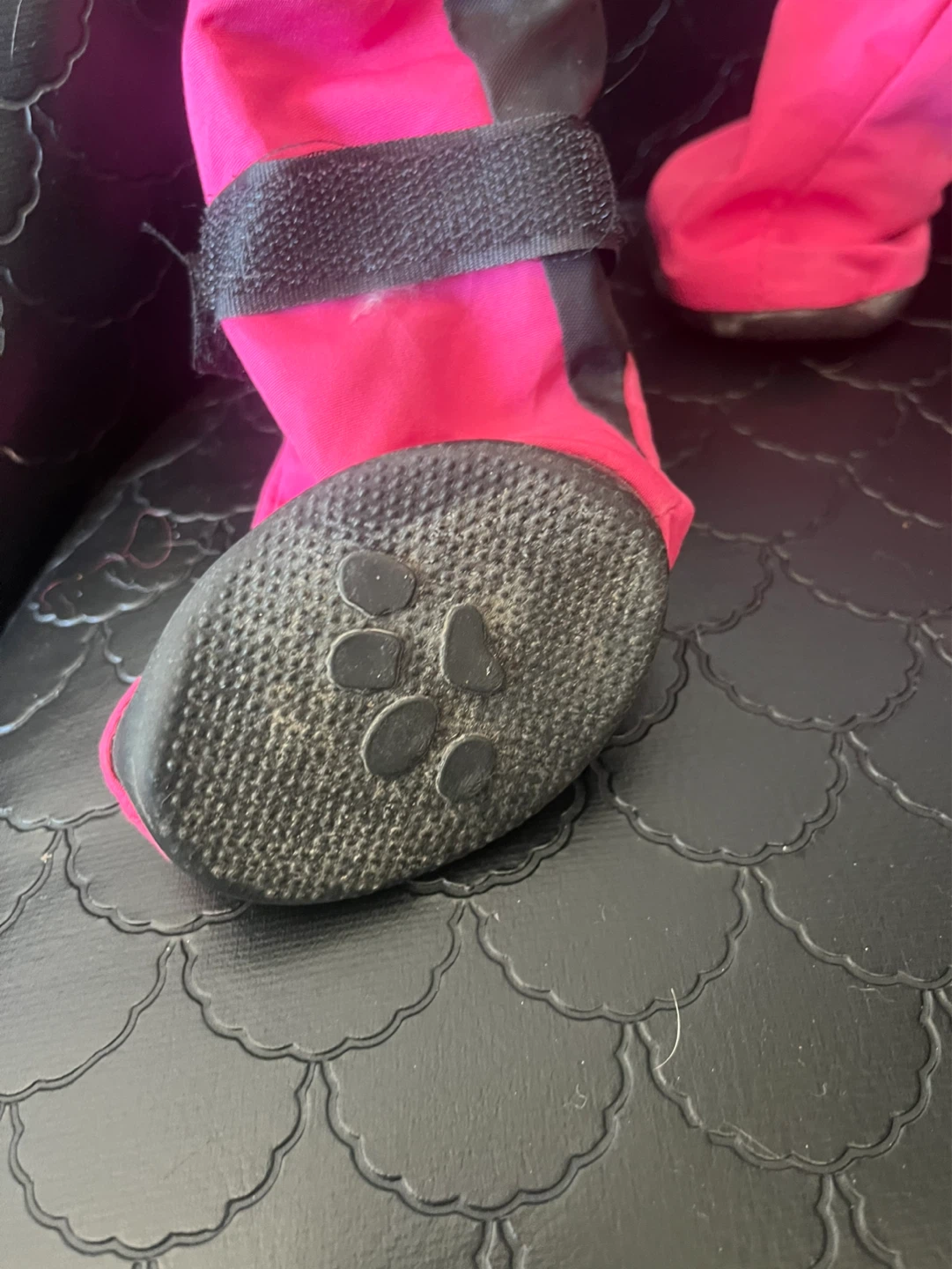 Medium Dog Boots - photo 3
