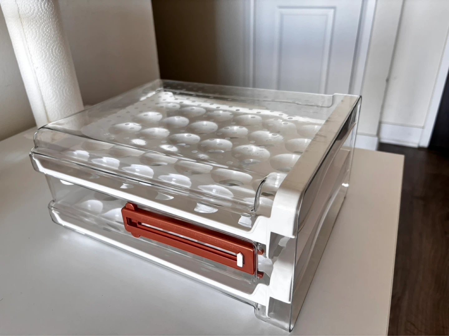 Egg Storage Box (Holds 60 Eggs) - Like New! - photo 2