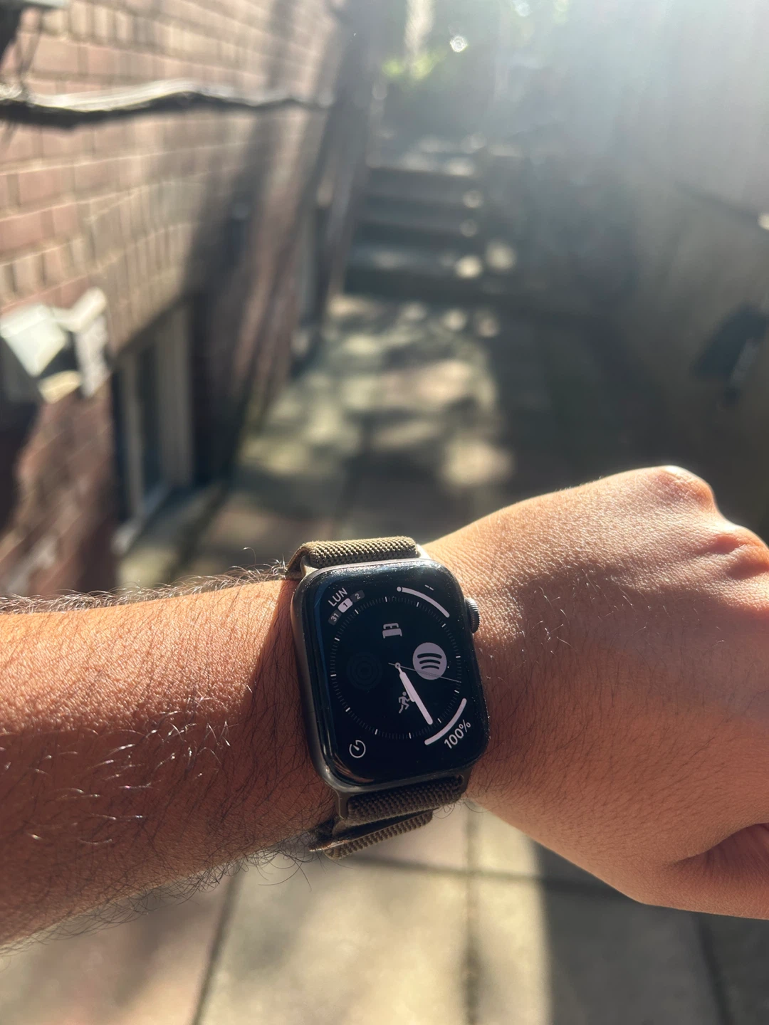 Apple Watch SE (1st Gen) 44mm - WiFi