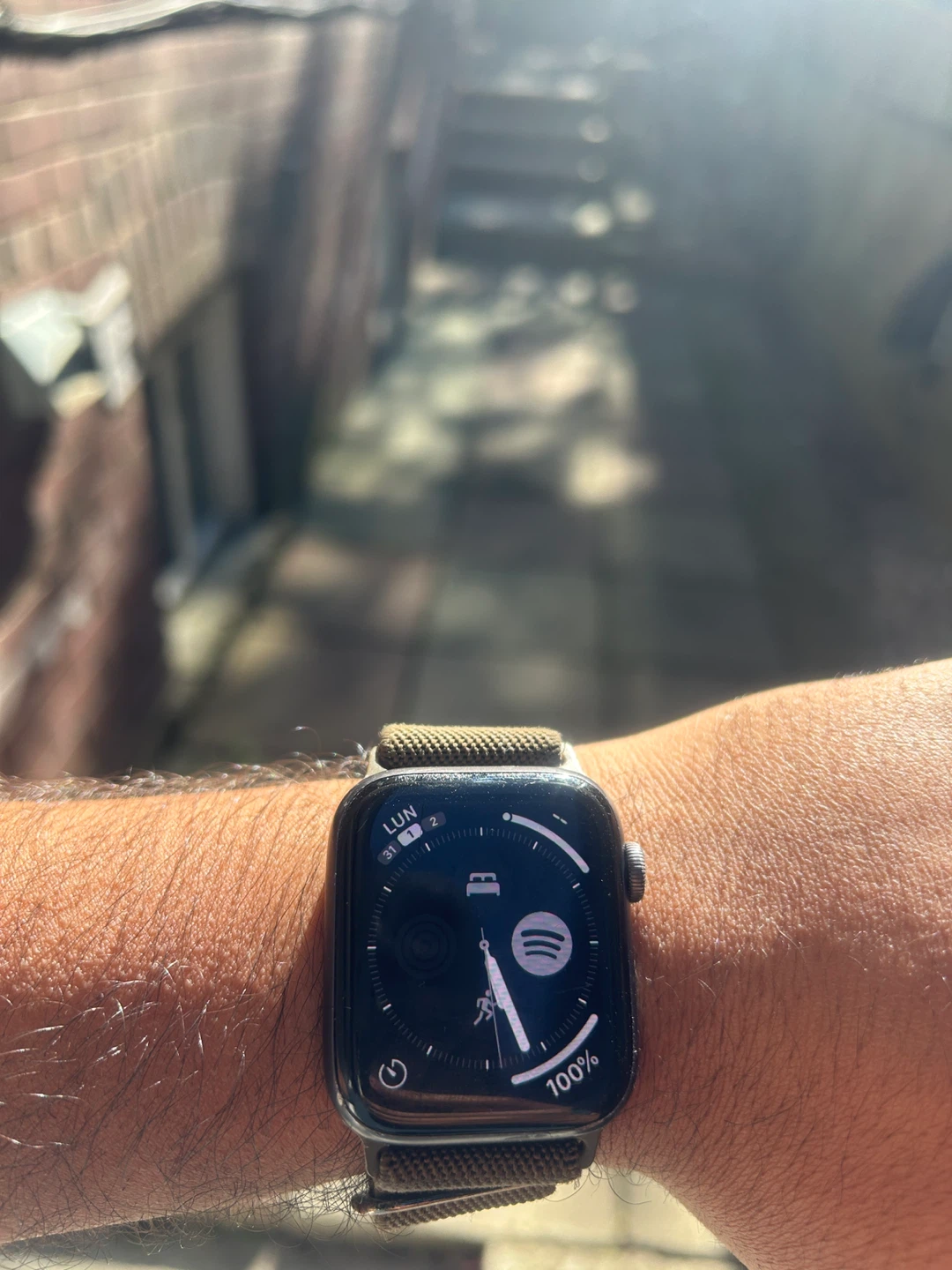 Apple Watch SE (1st Gen) 44mm - WiFi - photo 3