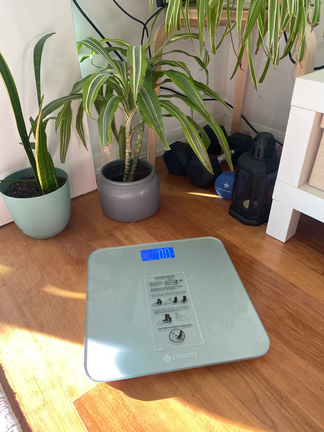 Bathroom Scale (Weighing Scale)