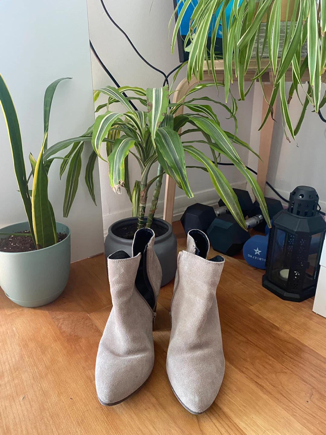 ALDO Suede Ankle Boots - photo 2
