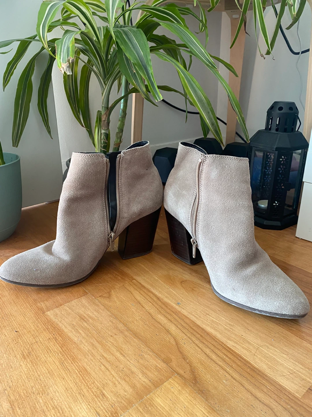 ALDO Suede Ankle Boots - photo 4